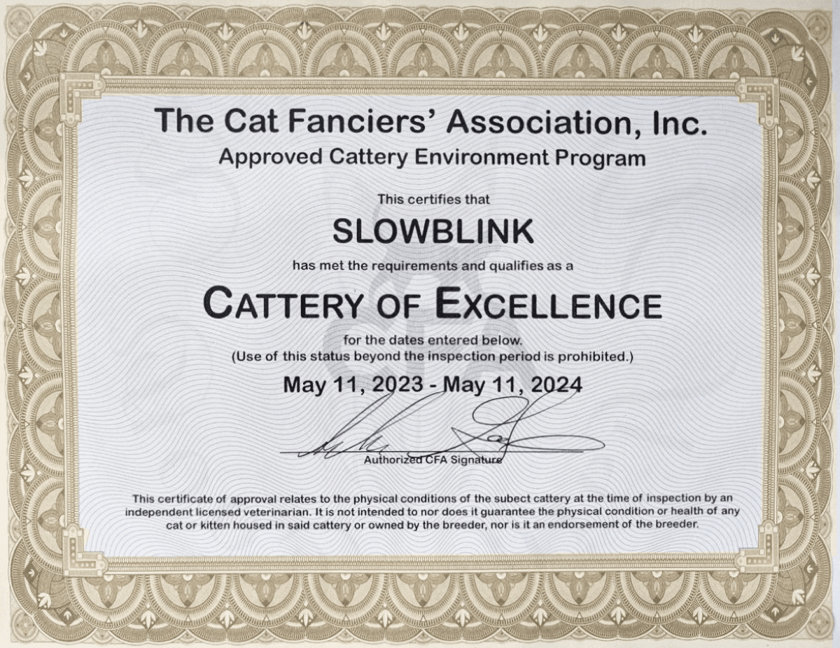 CFA (Cat Fanciers' Association) Cattery of Excellence Certificate Picture